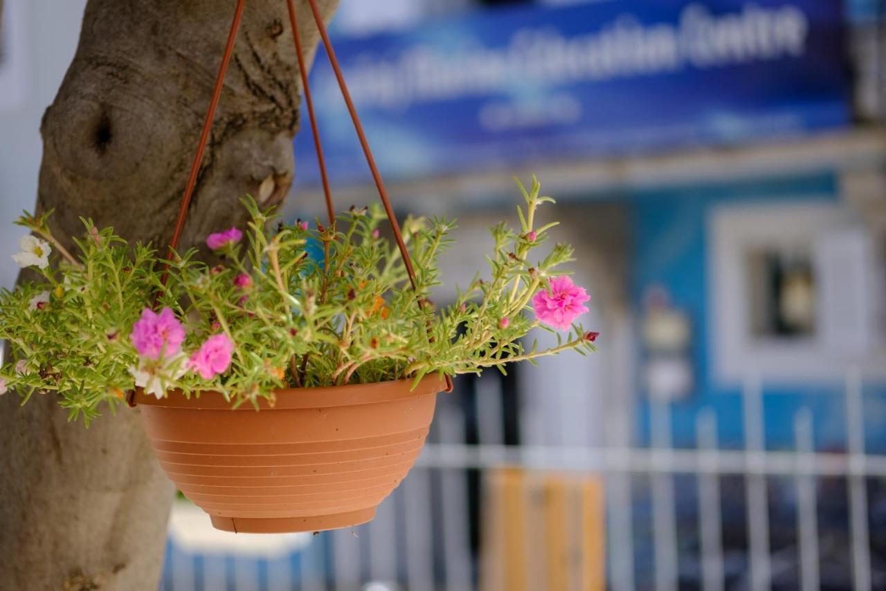 Hotel Vila Conte Veli Lošinj Exterior foto