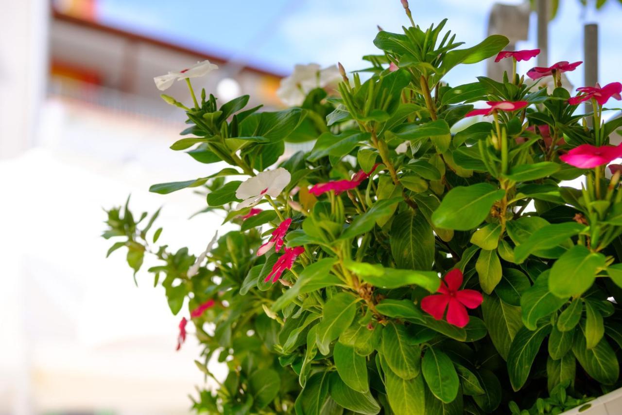 Hotel Vila Conte Veli Lošinj Exterior foto